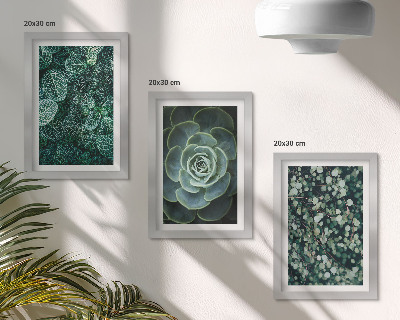 Zidna galerija slika Zeleno lišće sukulenata i nježne grančice