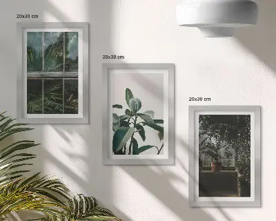 Set od 3 slike u okviru zeleno lišće na prozoru i biljke u interijeru
