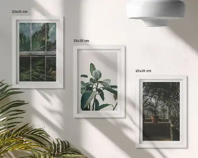 Set od 3 slike u okviru zeleno lišće na prozoru i biljke u interijeru