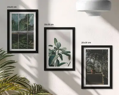 Set od 3 slike u okviru zeleno lišće na prozoru i biljke u interijeru