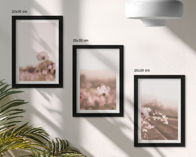 Set 3 slike u okviru Divlje cvijeće na livadama ljeti, romantični krajolici