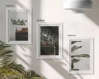 Set od 3 slike u okviru biljke u saksiji s rustikalnim lišćem