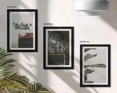 Set od 3 slike u okviru biljke u saksiji s rustikalnim lišćem
