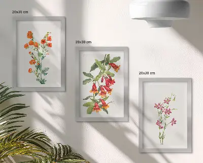Komplet slika u okviru vintage retro cvjetni motiv