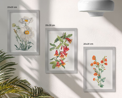 Zidna galerija slika Cvjetne kompozicije retro vintage slikarstva