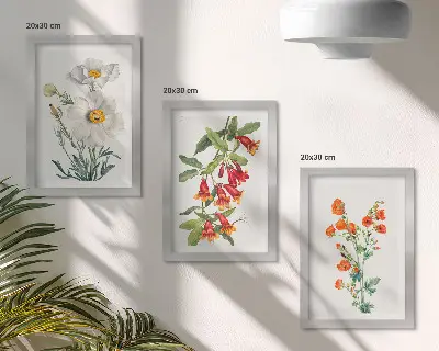 Zidna galerija slika s motivima cvjetnih kompozicija u retro vintage stilu