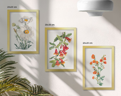 Zidna galerija slika Cvjetne kompozicije retro vintage slikarstva