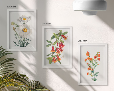 Zidna galerija slika Cvjetne kompozicije retro vintage slikarstva
