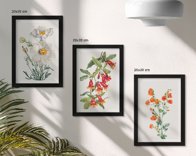 Zidna galerija slika Cvjetne kompozicije retro vintage slikarstva
