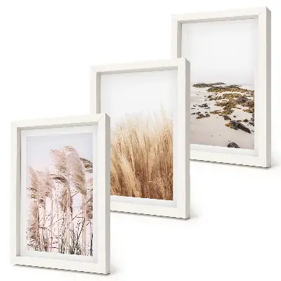 Zidna galerija slika s motivom pampas trave i boemske plaže