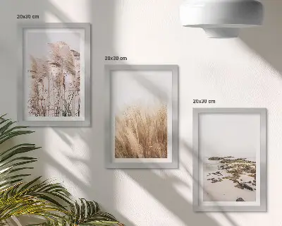 Zidna galerija slika s motivom pampas trave i boemske plaže