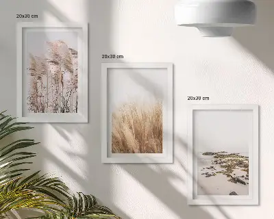 Zidna galerija slika s motivom pampas trave i boemske plaže