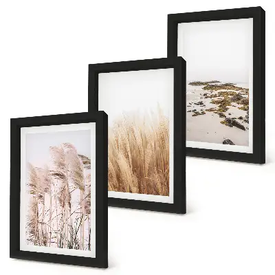 Zidna galerija slika s motivom pampas trave i boemske plaže