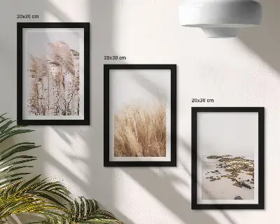 Zidna galerija slika s motivom pampas trave i boemske plaže