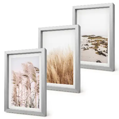 Zidna galerija slika s motivom pampas trave i boemske plaže