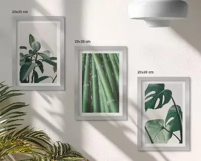 Komplet slika u okviru motiv sobne biljke bambusa i listova monstere
