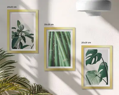 Komplet slika u okviru motiv sobne biljke bambusa i listova monstere