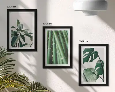 Komplet slika u okviru motiv sobne biljke bambusa i listova monstere