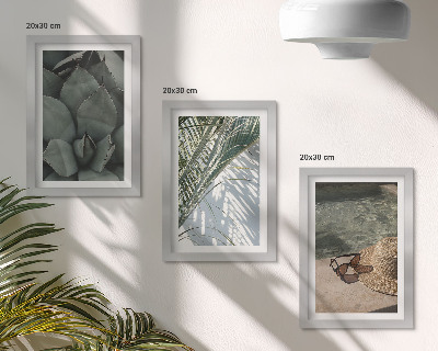 Zidna galerija slika Tropske biljke i ljetni praznični detalji