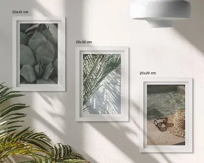 Zidna galerija slika tropske biljke i ljetni praznični motivi