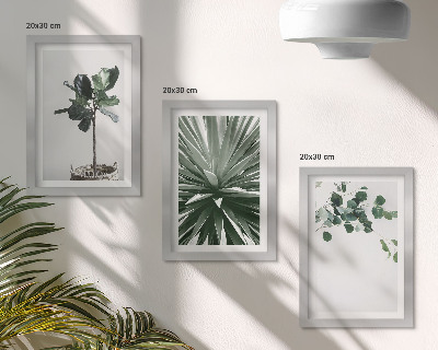Komplet slika u okviru Zelene biljke u minimalističkom stilu