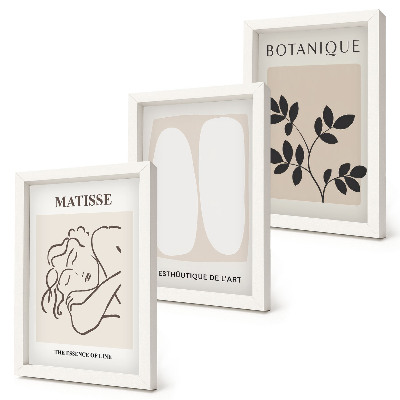 Set 3 slike u okviru Elegantne minimalističke slike s biljnim motivima Matissea