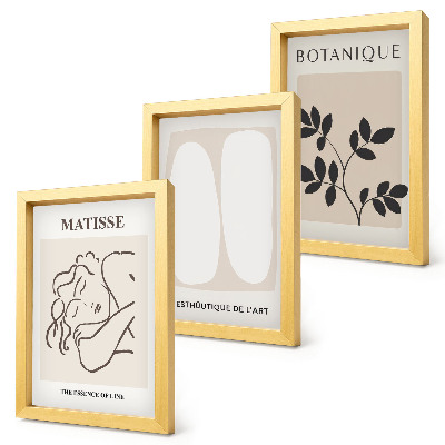 Set 3 slike u okviru Elegantne minimalističke slike s biljnim motivima Matissea