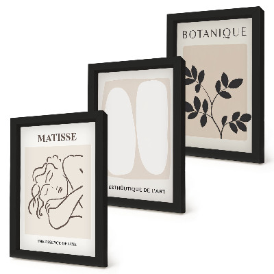 Set 3 slike u okviru Elegantne minimalističke slike s biljnim motivima Matissea