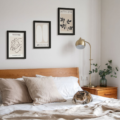 Set 3 slike u okviru Elegantne minimalističke slike s biljnim motivima Matissea