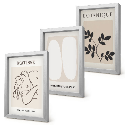 Set 3 slike u okviru Elegantne minimalističke slike s biljnim motivima Matissea