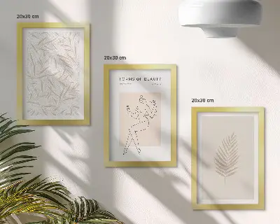Set od 3 slike u okviru minimalistički botanički dizajn