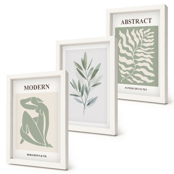 Set 3 slike u okviru Matisse dizajn akvarel boho biljke
