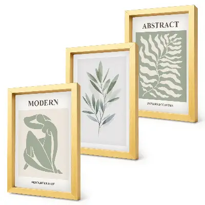 Set 3 slike u okviru Matisse dizajn s akvarel motivima boho biljaka