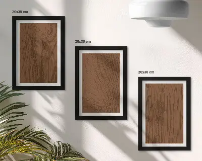 Set 3 slike u okviru uzorak teksture drvene kore u minimalističkom stilu