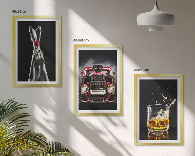 Zidna galerija Ženske noge ruža auto viski