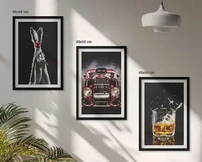 Zidna galerija ženske noge, ruža, auto i viski