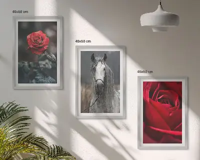 Set od 3 slike u okviru crvene ruže i sivi konj