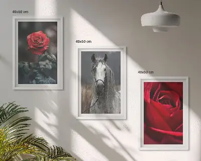 Set od 3 slike u okviru crvene ruže i sivi konj