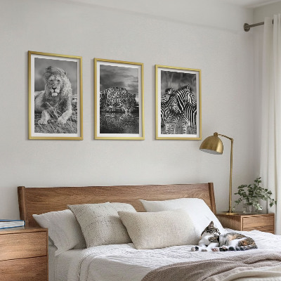 Set 3 slike u okviru Divlje životinje savane