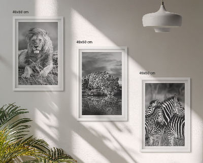 Set 3 slike u okviru Divlje životinje savane