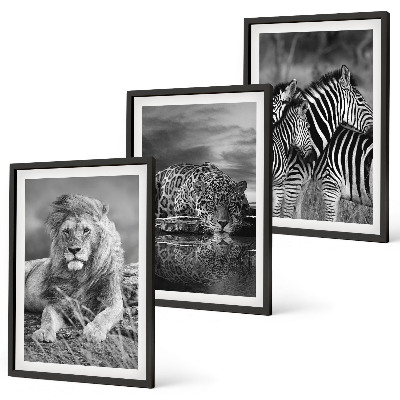 Set 3 slike u okviru Divlje životinje savane