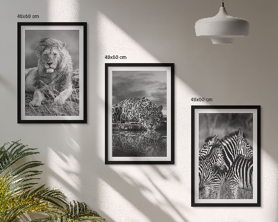Set 3 slike u okviru Divlje životinje savane