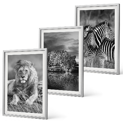 Set 3 slike u okviru Divlje životinje savane