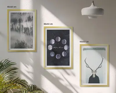 Set od 3 slike u okviru šumski krajolik s maglom, mjesecom i jelenjom lubanjom