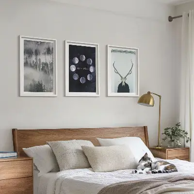 Set od 3 slike u okviru šumski krajolik s maglom, mjesecom i jelenjom lubanjom