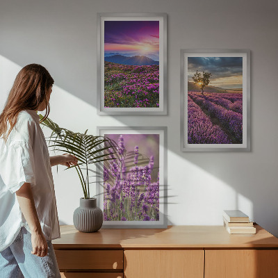 Zidna galerija Zalazak sunca u poljima lavande