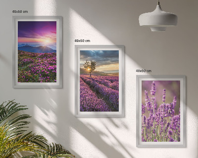Zidna galerija Zalazak sunca u poljima lavande