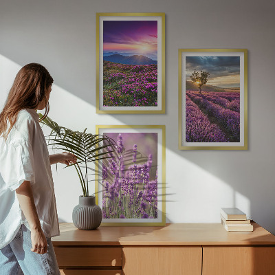 Zidna galerija Zalazak sunca u poljima lavande