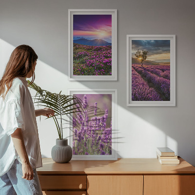 Zidna galerija Zalazak sunca u poljima lavande