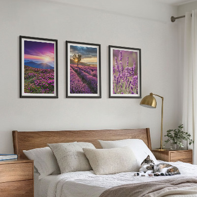Zidna galerija Zalazak sunca u poljima lavande